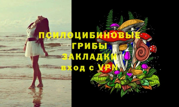 бошки Нижний Тагил