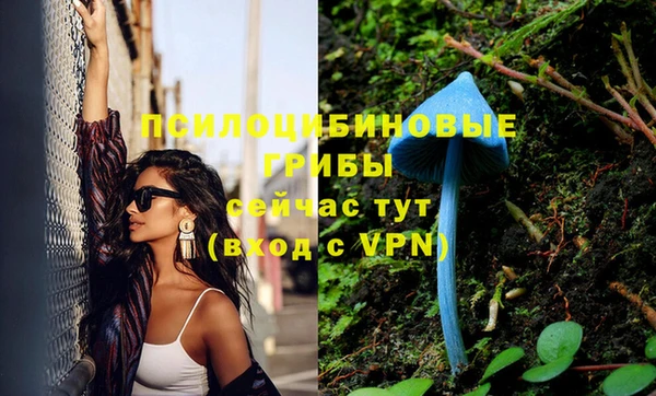 бошки Нижний Тагил