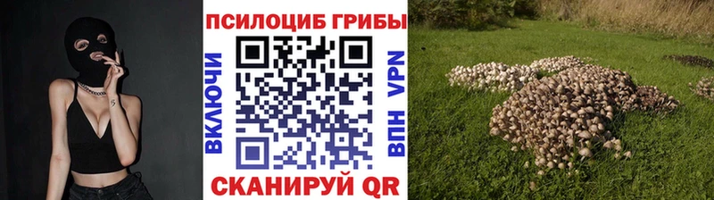 Псилоцибиновые грибы мицелий  Купить  Макаров 